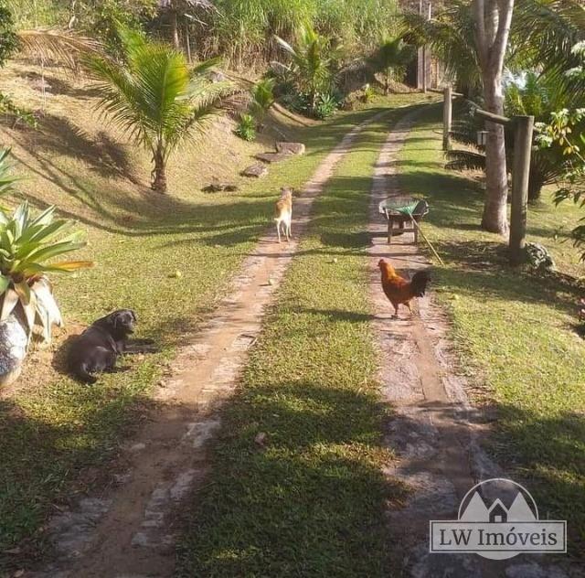 Fazenda / Sítio à venda em Posse, Petrópolis - RJ - Foto 7