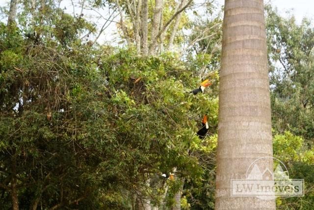 Casa para Alugar em Itaipava, Petrópolis - RJ - Foto 6