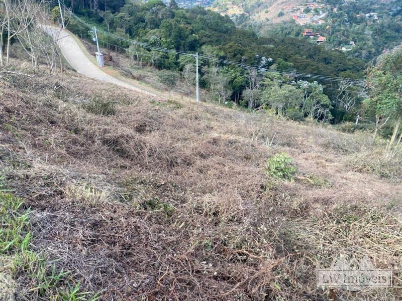 Terreno Residencial à venda em Itaipava, Petrópolis - RJ - Foto 14