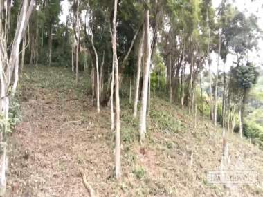 [CI 236] Terreno Residencial em Itaipava, Petrópolis/RJ