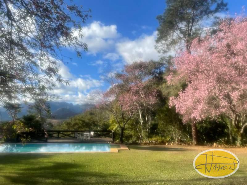 Casa à venda em Araras, Petrópolis - RJ - Foto 21