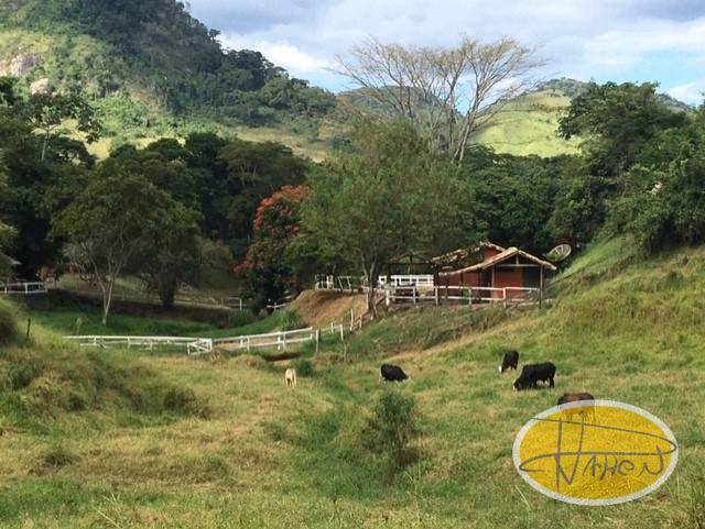Casa à venda em Secretário, Petrópolis - RJ - Foto 27