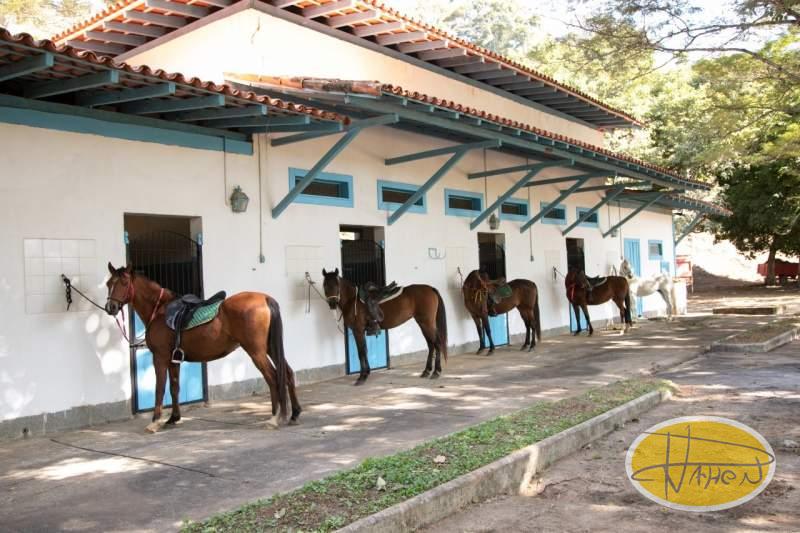 Fazenda / Sítio à venda em Centro, Petrópolis - RJ - Foto 40