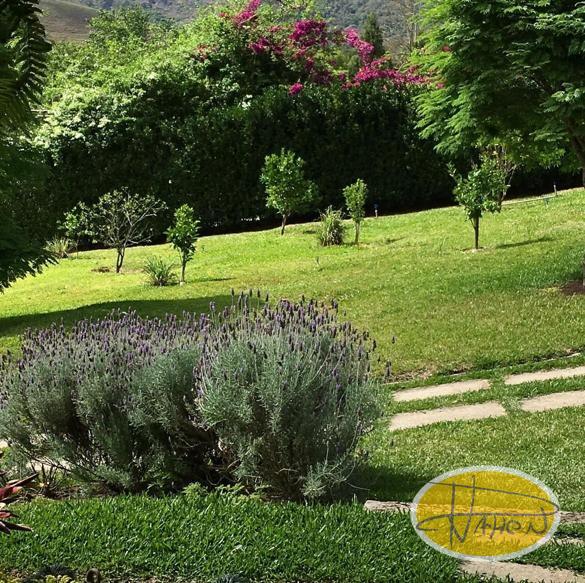 Casa à venda em Vale das Videiras, Petrópolis - RJ - Foto 41