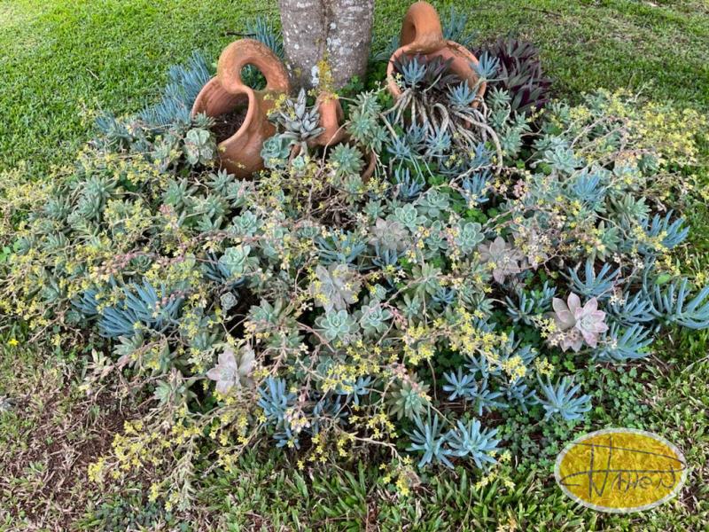 Casa à venda em Vale das Videiras, Petrópolis - RJ - Foto 29