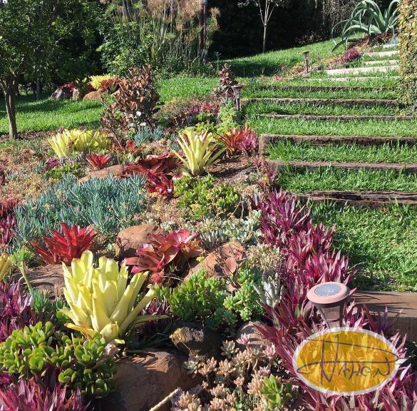 Casa à venda em Vale das Videiras, Petrópolis - RJ - Foto 44