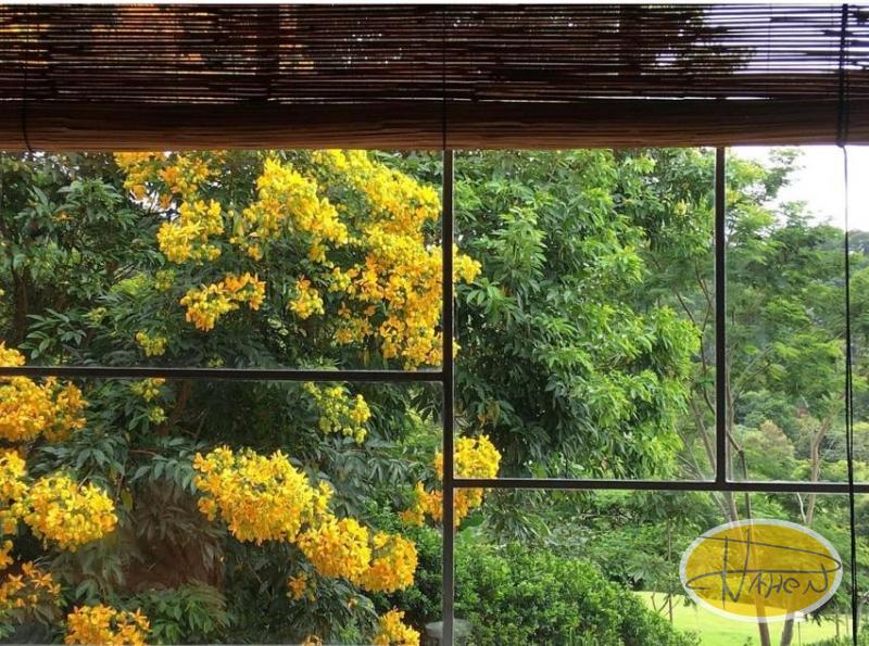 Casa à venda em Vale das Videiras, Petrópolis - RJ - Foto 43