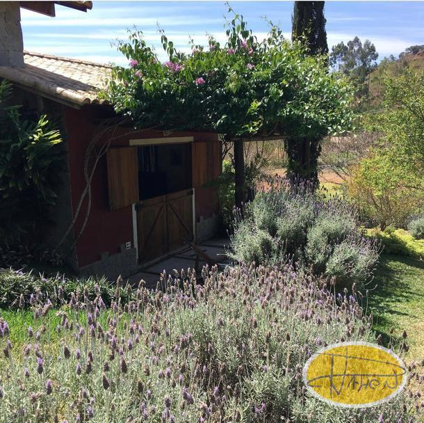 Casa à venda em Vale das Videiras, Petrópolis - RJ - Foto 21