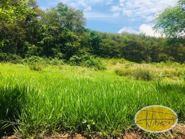 Terreno Residencial à venda em Vale das Videiras, Paty do Alferes - RJ - Foto 1