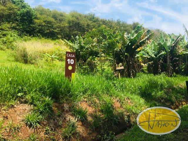 Terreno Residencial à venda em Vale das Videiras, Paty do Alferes - RJ - Foto 3