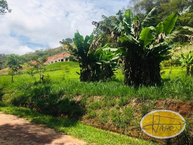 Terreno Residencial à venda em Vale das Videiras, Paty do Alferes - RJ - Foto 4