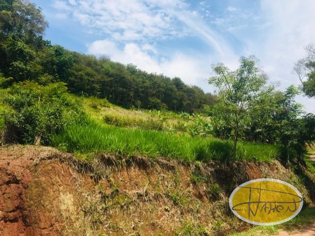 Terreno Residencial à venda em Vale das Videiras, Paty do Alferes - RJ - Foto 5