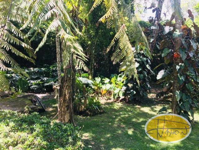 Casa à venda em Araras, Petrópolis - RJ - Foto 31