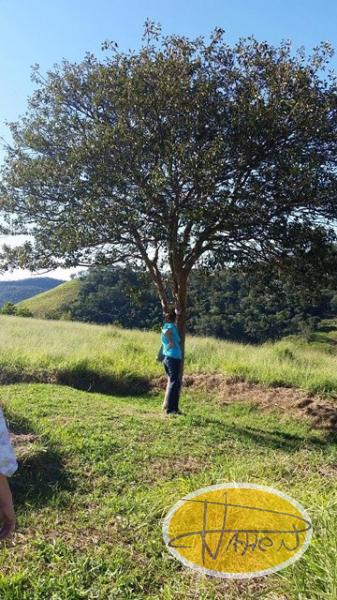 Terreno Residencial à venda em Vale das Videiras, Petrópolis - RJ - Foto 5
