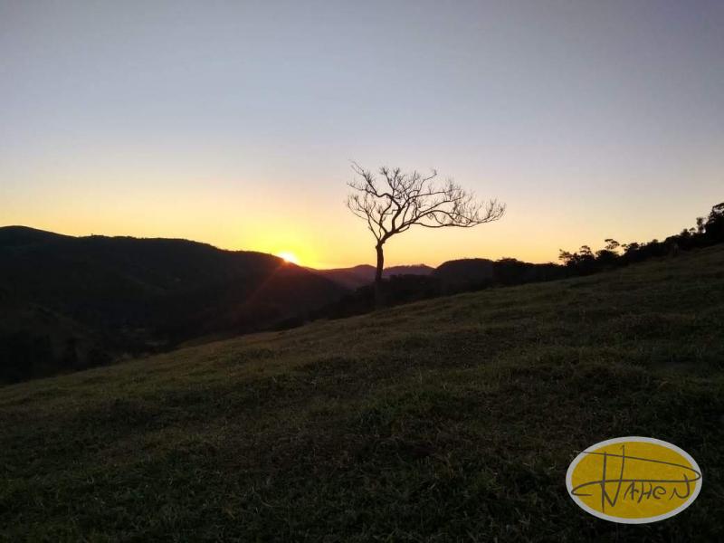 Terreno Residencial à venda em Vale das Videiras, Petrópolis - RJ - Foto 10