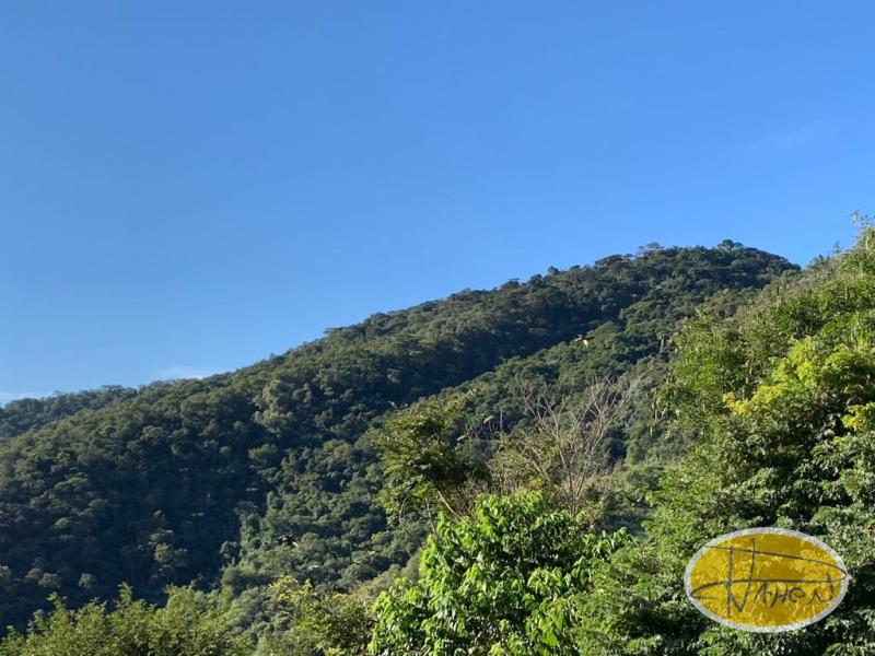 Casa à venda em Vale das Videiras, Petrópolis - RJ - Foto 3