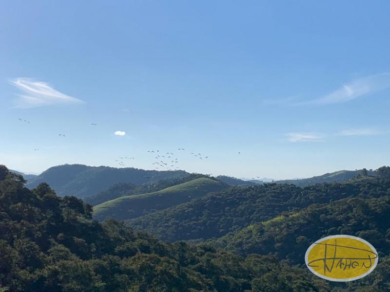 Casa à venda em Vale das Videiras, Petrópolis - RJ - Foto 4