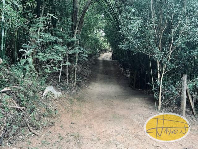 Casa à venda em Vale das Videiras, Petrópolis - RJ - Foto 16