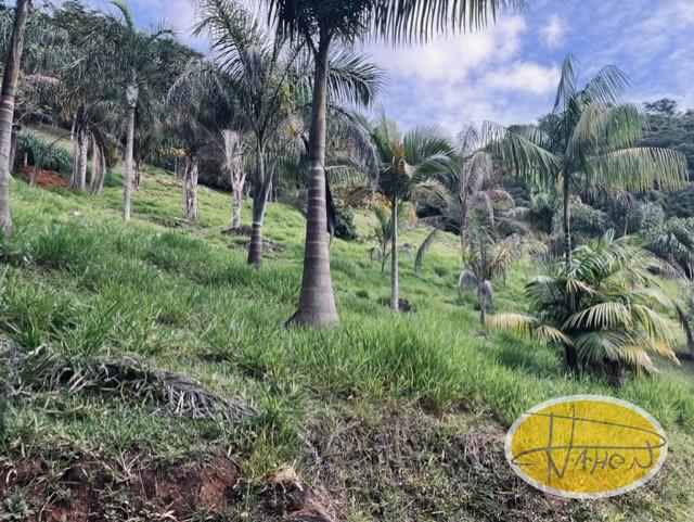 Casa à venda em Vale das Videiras, Petrópolis - RJ - Foto 18