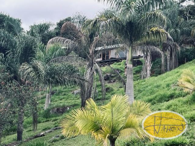 Casa à venda em Vale das Videiras, Petrópolis - RJ - Foto 20