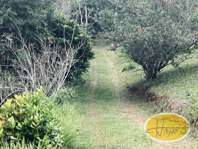 Casa à venda em Vale das Videiras, Petrópolis - RJ - Foto 21