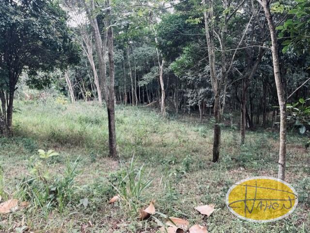 Casa à venda em Vale das Videiras, Petrópolis - RJ - Foto 22