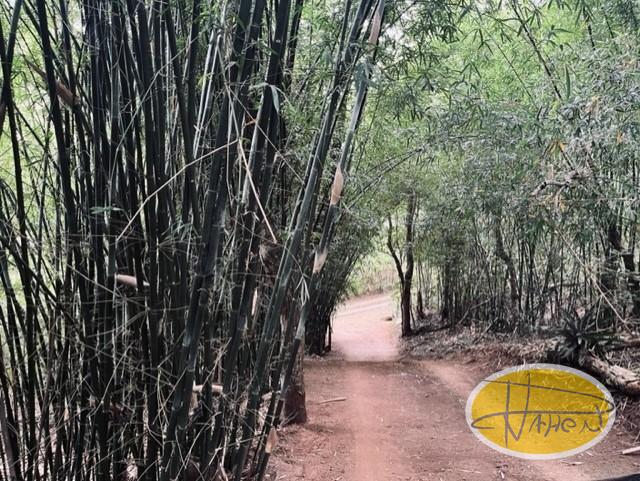 Casa à venda em Vale das Videiras, Petrópolis - RJ - Foto 23