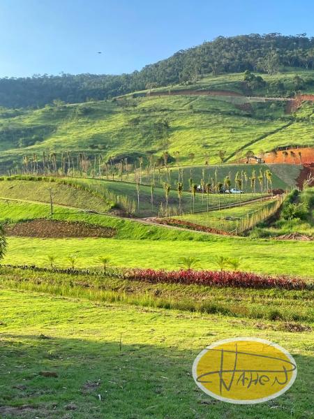 Terreno Residencial à venda em Secretário, Petrópolis - RJ - Foto 11