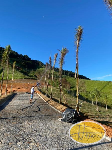 Terreno Residencial à venda em Secretário, Petrópolis - RJ - Foto 7
