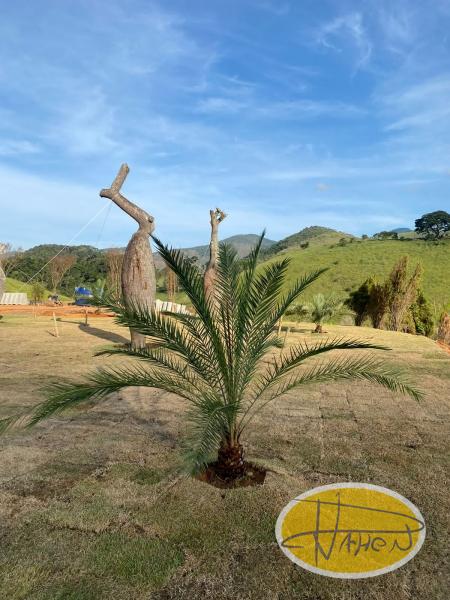 Terreno Residencial à venda em Secretário, Petrópolis - RJ - Foto 12