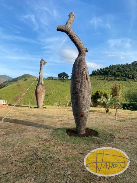 Terreno Residencial à venda em Secretário, Petrópolis - RJ - Foto 13