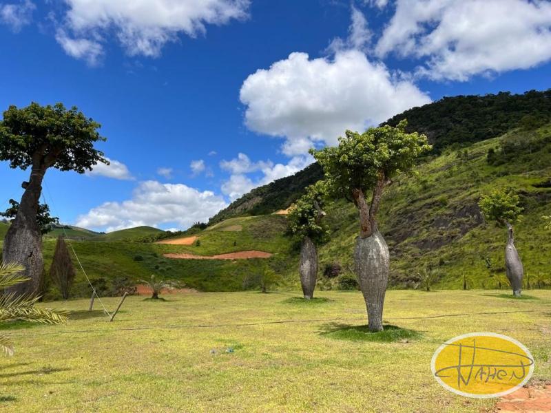 Terreno Residencial à venda em Secretário, Petrópolis - RJ - Foto 19