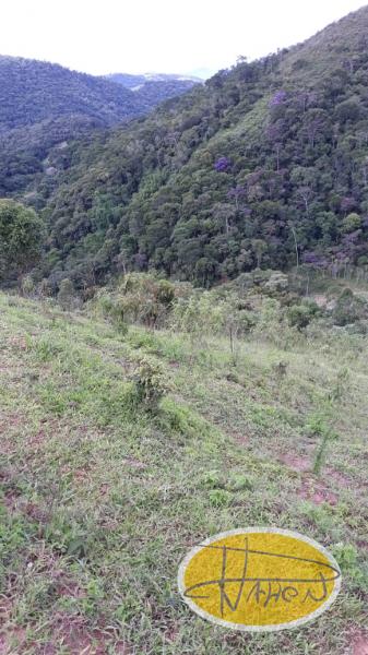 Terreno Residencial à venda em Vale das Videiras, Paty do Alferes - RJ - Foto 11