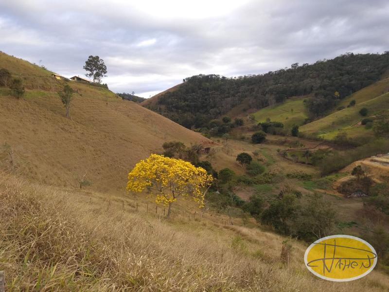 Terreno Residencial à venda em Vale das Videiras, Petrópolis - RJ - Foto 2