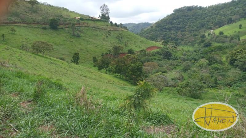 Terreno Residencial à venda em Vale das Videiras, Petrópolis - RJ - Foto 5