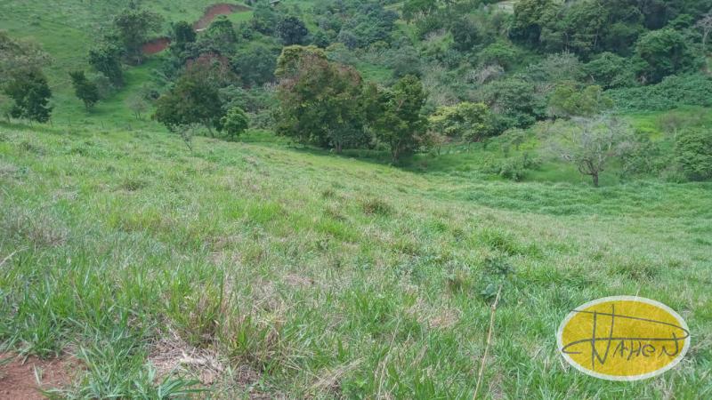 Terreno Residencial à venda em Vale das Videiras, Petrópolis - RJ - Foto 6