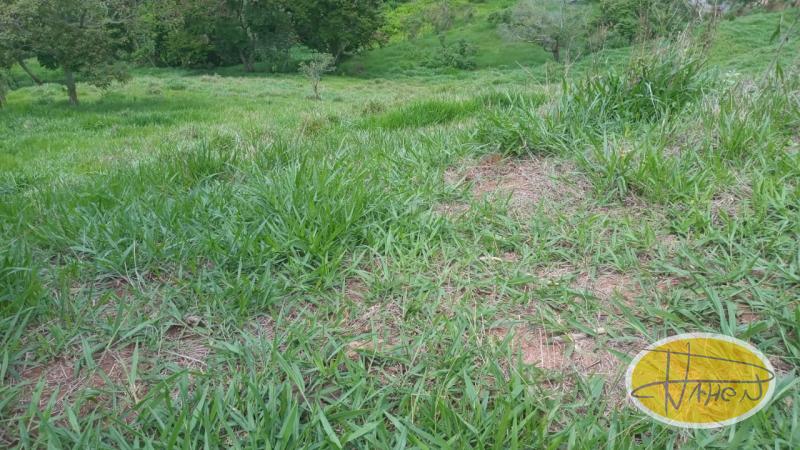 Terreno Residencial à venda em Vale das Videiras, Petrópolis - RJ - Foto 7