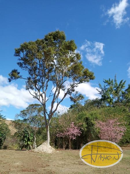 Casa à venda em Vale das Videiras, Petrópolis - RJ - Foto 24