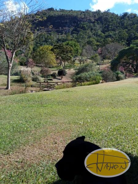 Casa à venda em Vale das Videiras, Petrópolis - RJ - Foto 23