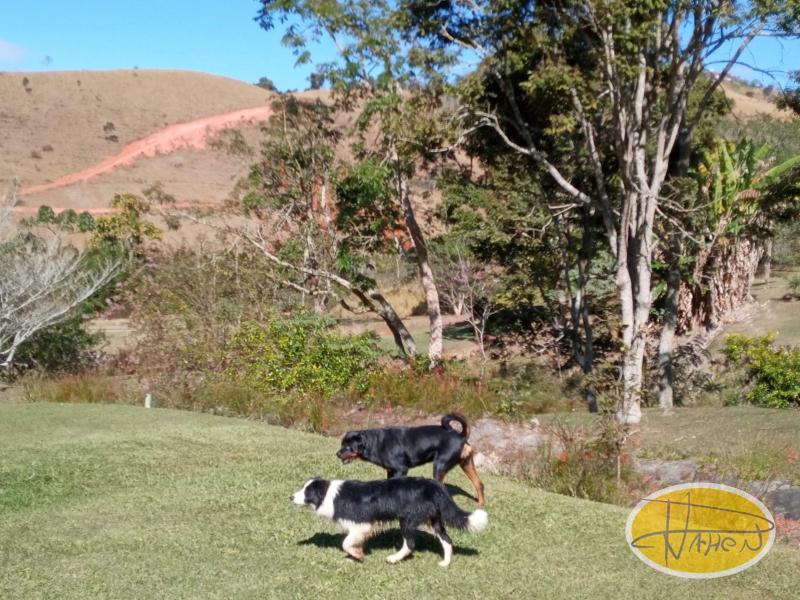 Casa à venda em Vale das Videiras, Petrópolis - RJ - Foto 17