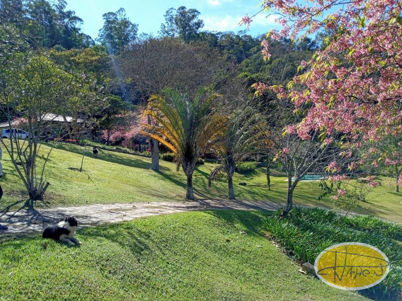 Casa à venda em Vale das Videiras, Petrópolis - RJ - Foto 2