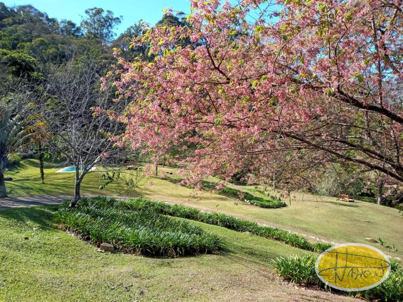 Casa à venda em Vale das Videiras, Petrópolis - RJ - Foto 15