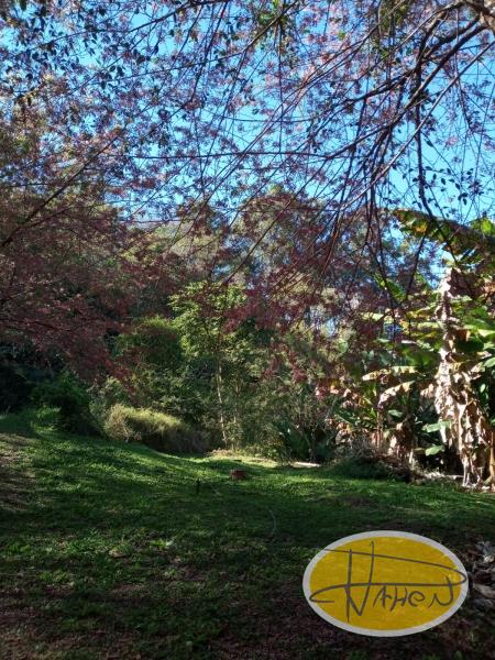 Casa à venda em Vale das Videiras, Petrópolis - RJ - Foto 11