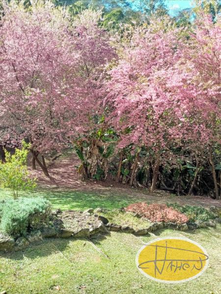 Casa à venda em Vale das Videiras, Petrópolis - RJ - Foto 6