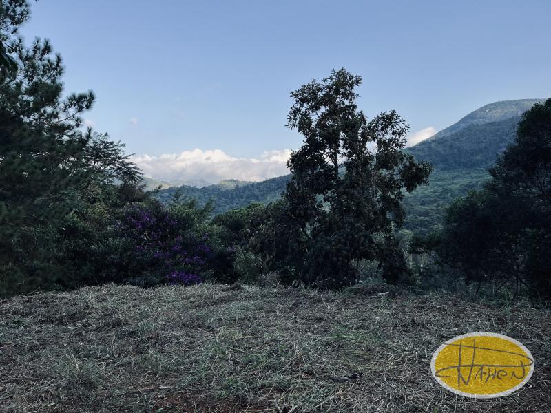 Terreno Residencial à venda em Araras, Petrópolis - RJ - Foto 1