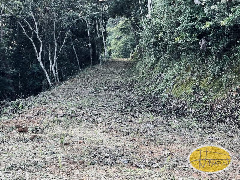 Terreno Residencial à venda em Araras, Petrópolis - RJ - Foto 2