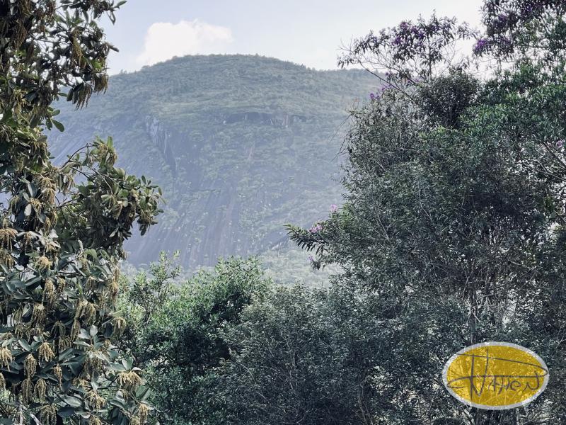 Terreno Residencial à venda em Araras, Petrópolis - RJ - Foto 3