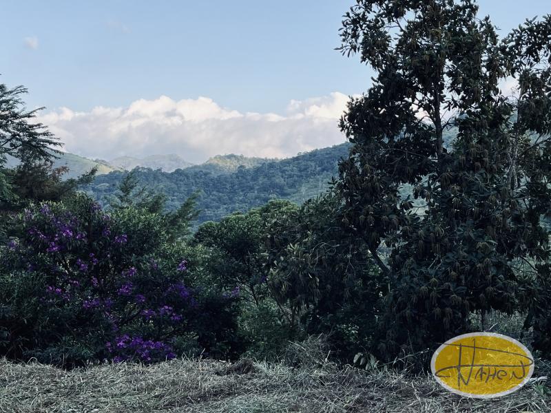 Terreno Residencial à venda em Araras, Petrópolis - RJ - Foto 4