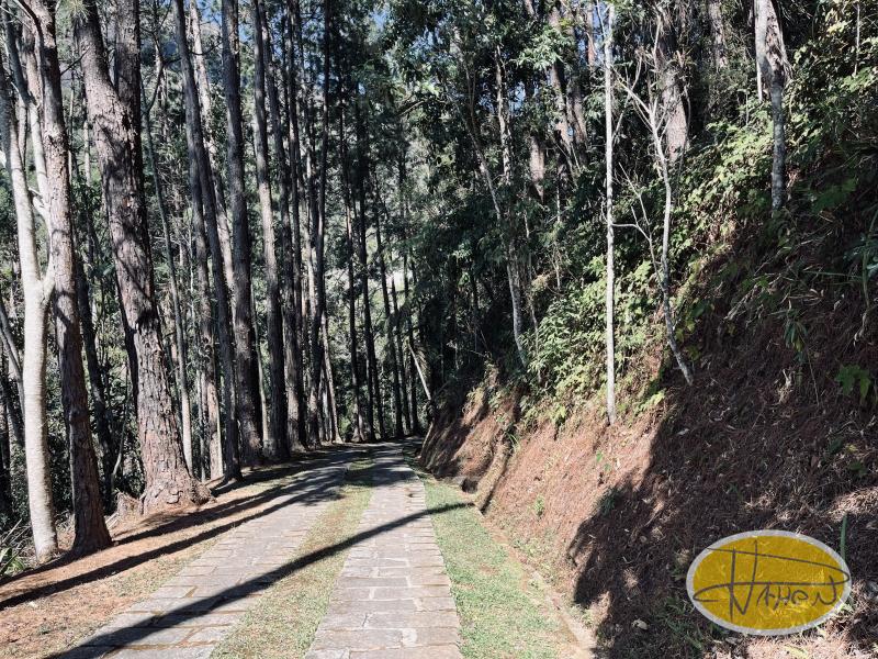 Casa à venda em Araras, Petrópolis - RJ - Foto 30