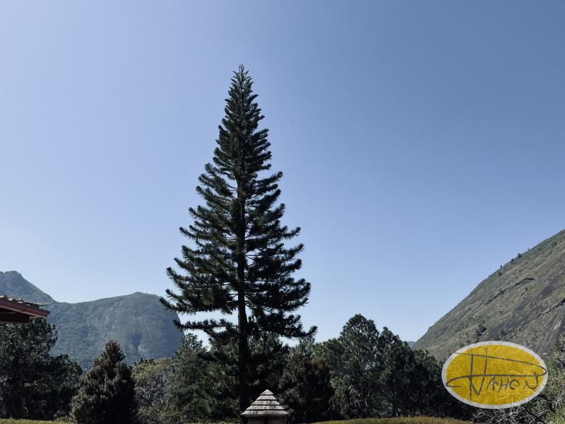 Casa à venda em Araras, Petrópolis - RJ - Foto 23